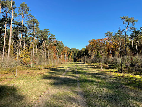 Wandelknooppunten tussen knooppunt 44 en 46