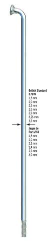 Sapim 2 x 298 mm RVS fietsspaak