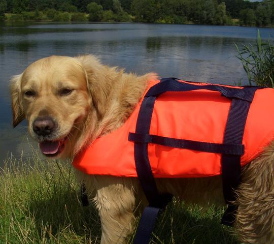 Seilflechter Hondenzwemvest met grijplijn, L (15-40 kg)