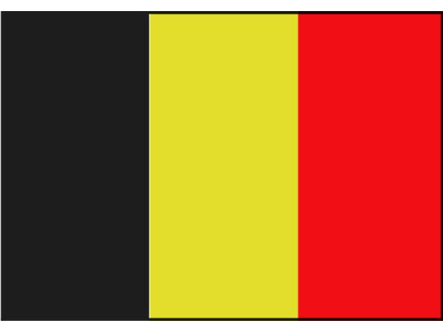 Vlag belgië