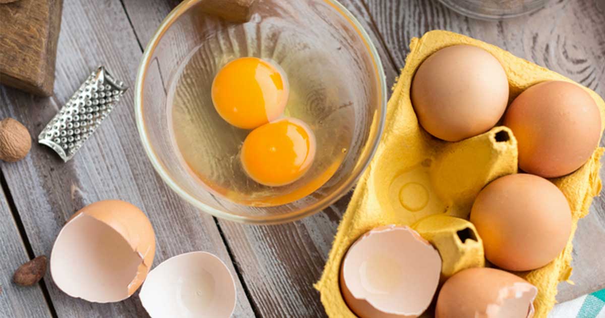 Real Eggs vs. Plant-Based Eggs