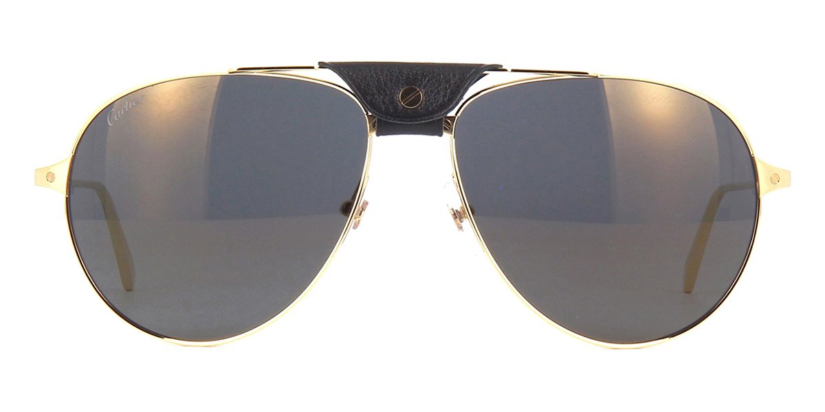 Cartier CT0038S 016 Sunglasses – i2i Optometrists