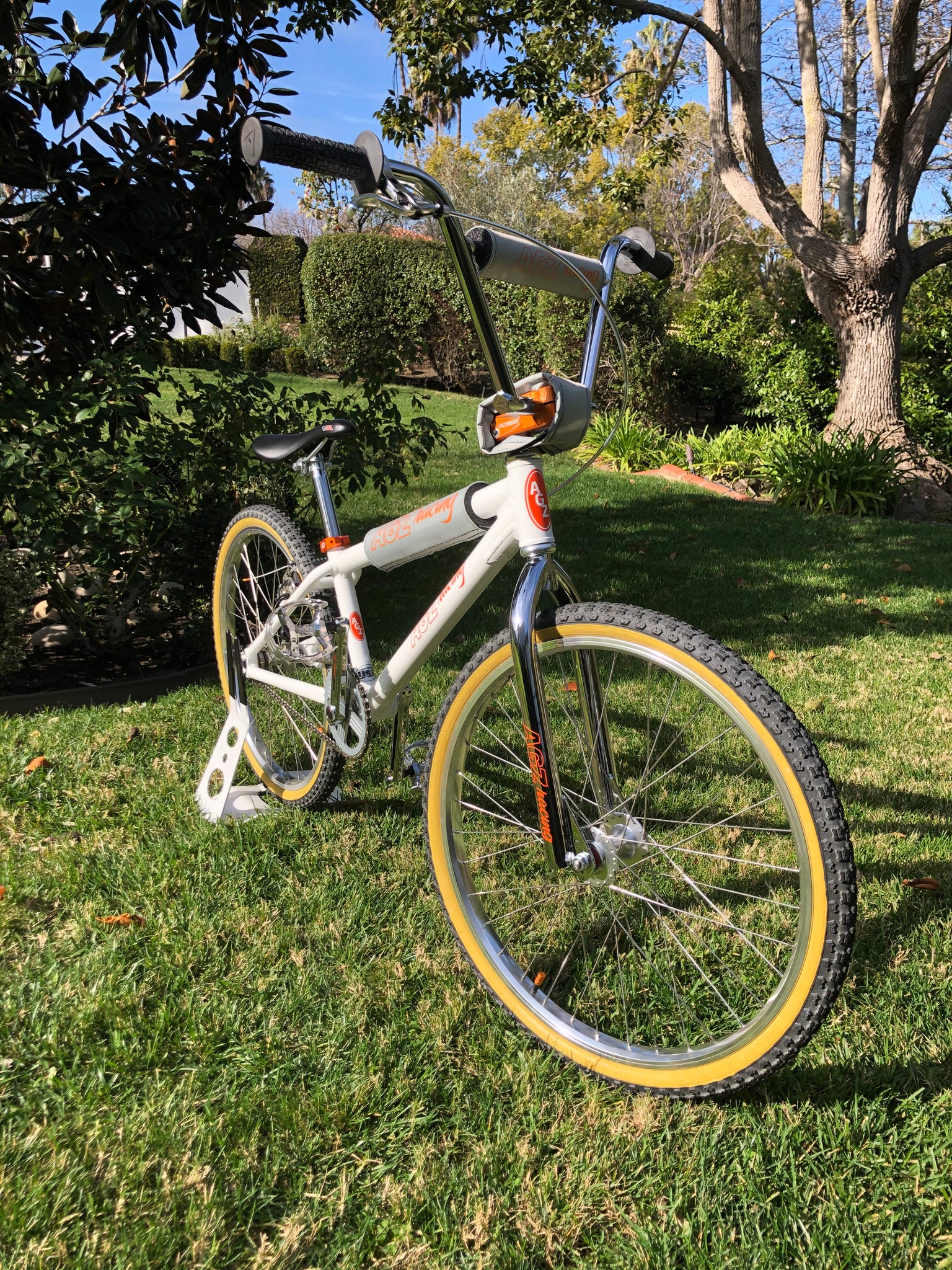 custom 24 bmx