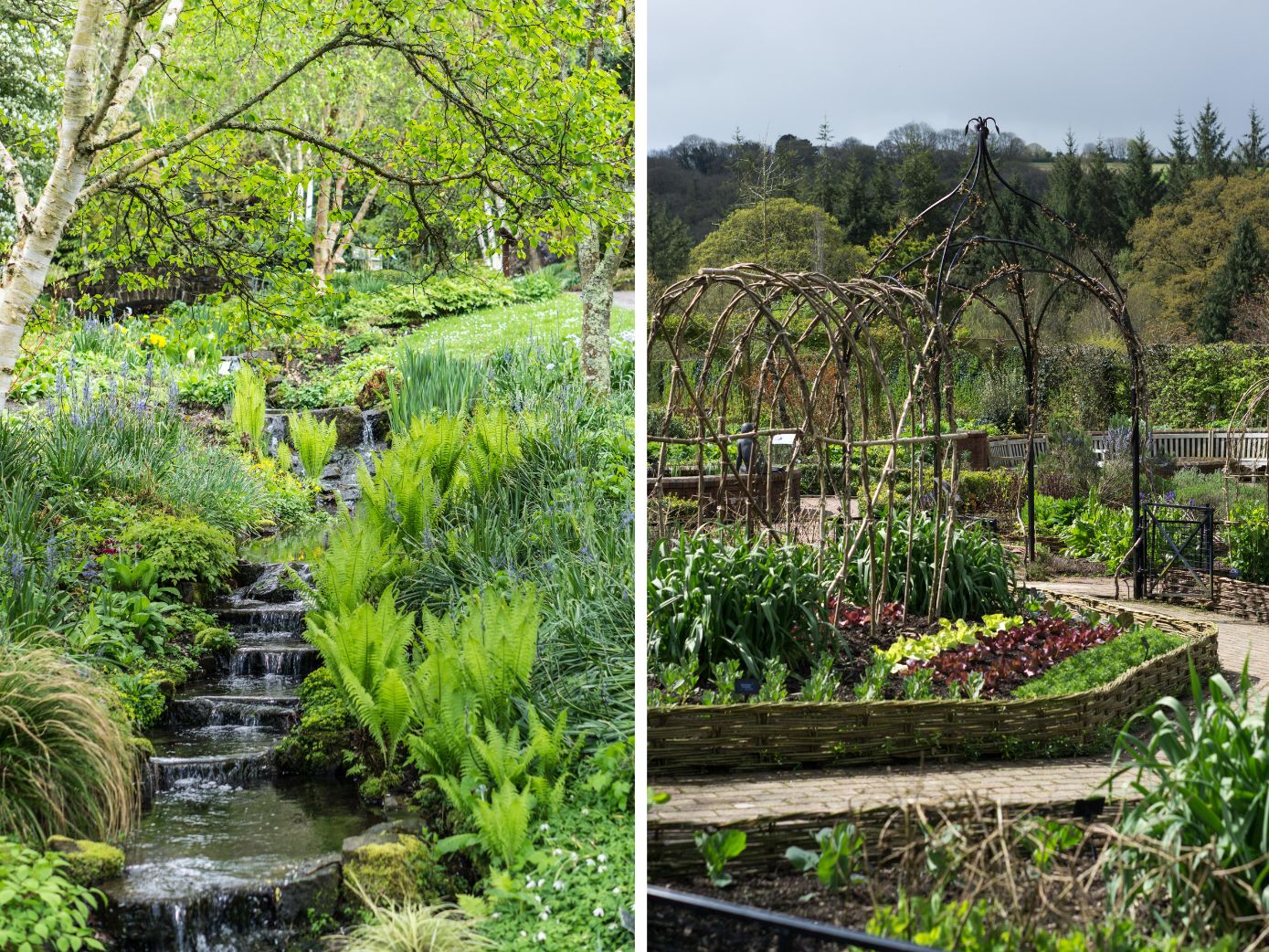 Bezoek Engeland: RHS Rosemoor