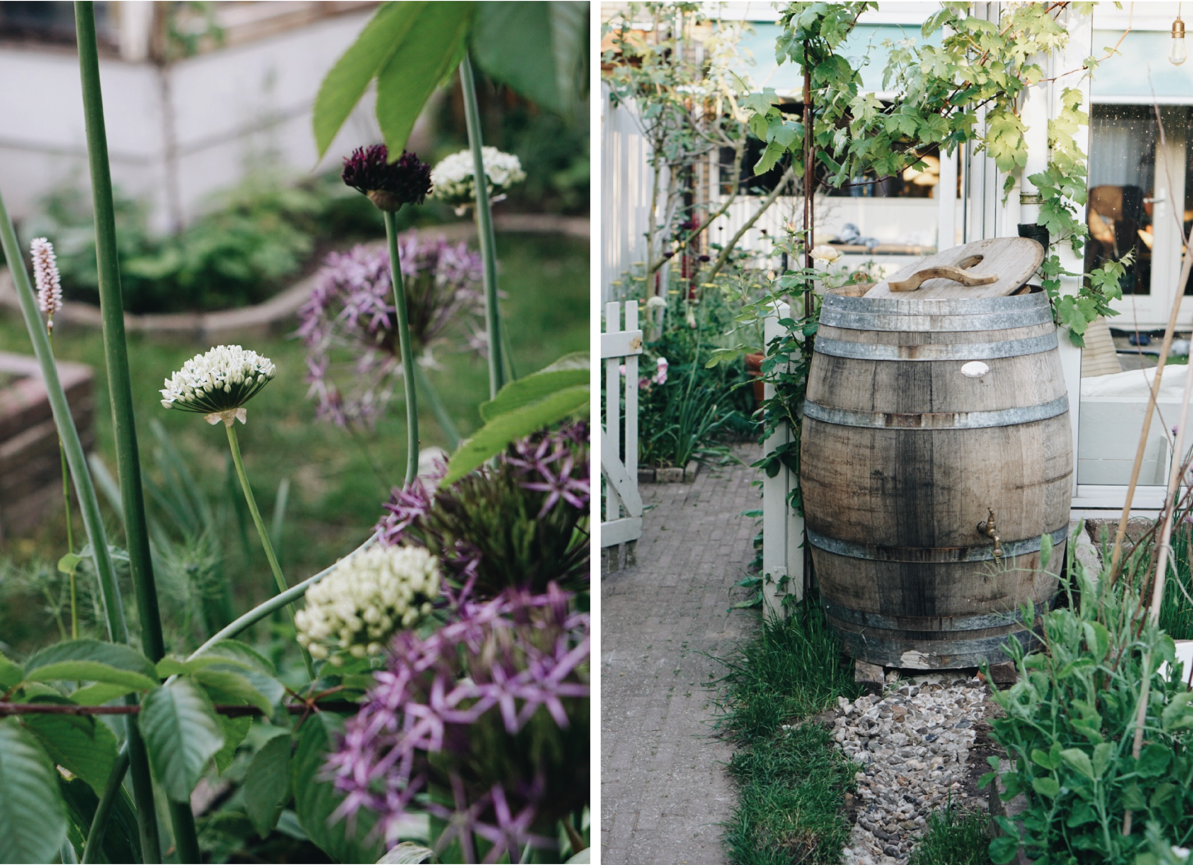 Een ecologische tuin