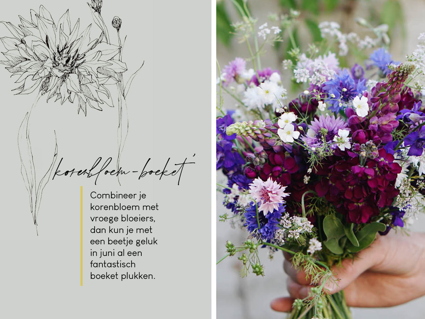 Plukboeket met korenbloemen