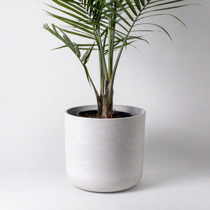 Kanso Signature 12" Stone Look Pot - Canopi Plants