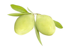 Kakadu plum, an Australian beauty secret with high Vitamin C content and potent skin benefits.