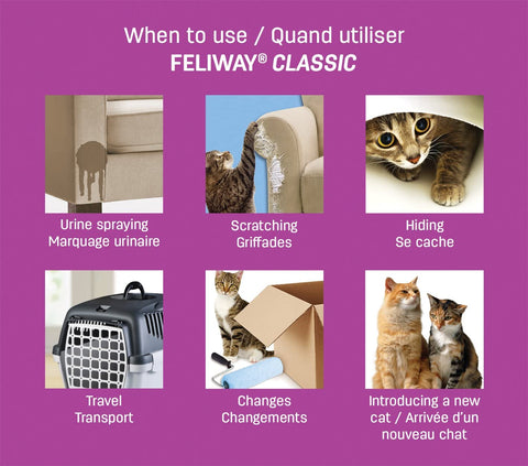 Recharge diffuseur FELIWAY Rennes