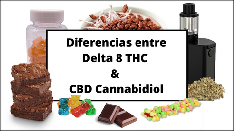 Diferencias entre Delta 8 THC y CBD Cannabidiol