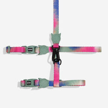 Load image into Gallery viewer, Bliss | Cat Harness with Leash
