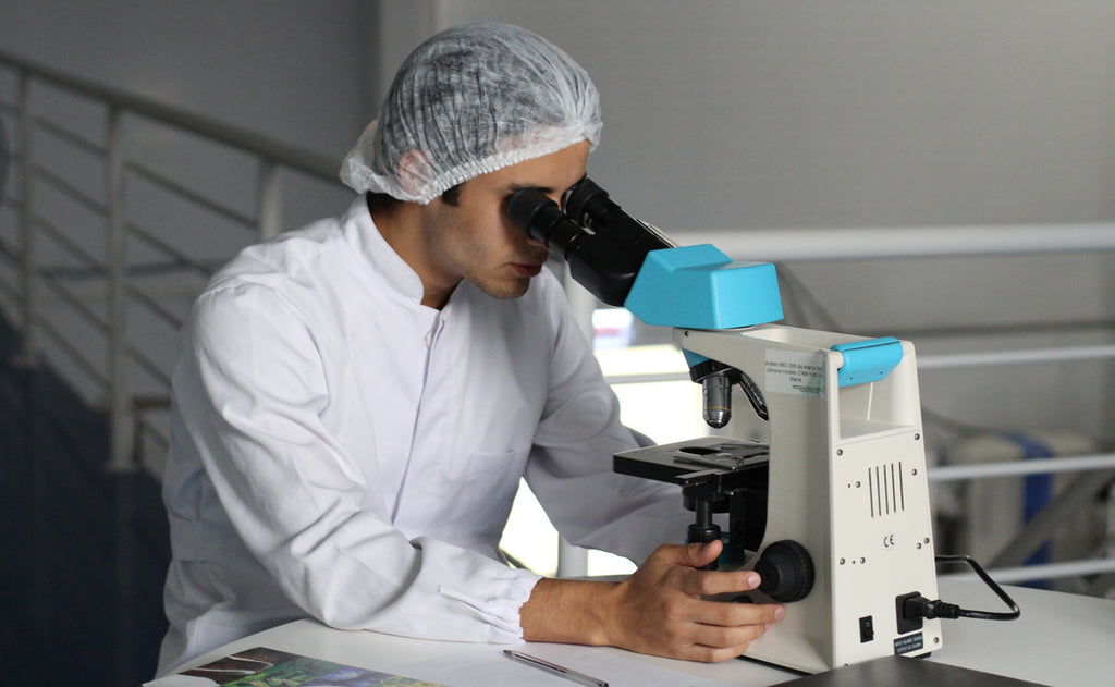 scientist looking at microscope