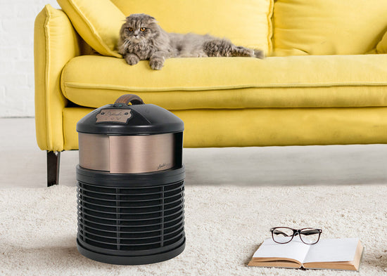 defender air purifier removing pet dander with a cat couch