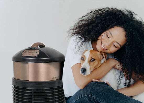 pet owner air purifier allergies dander pet hair dog cat