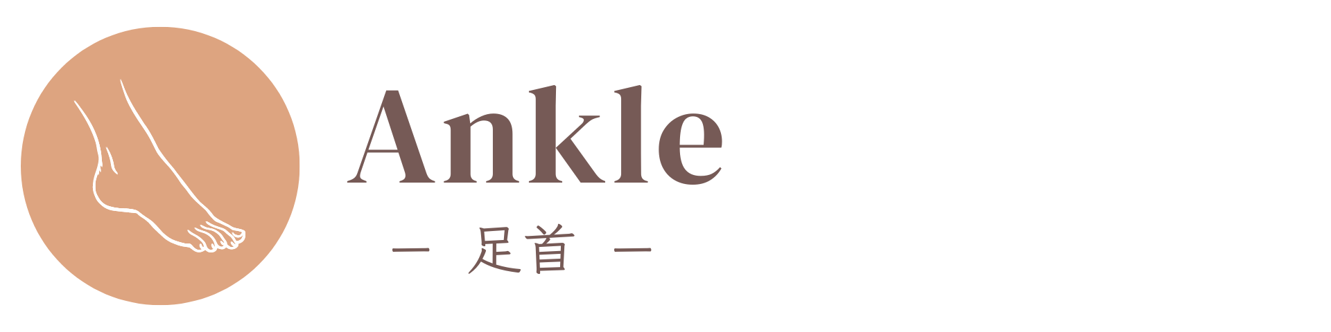 足首,あしくび,Ankle