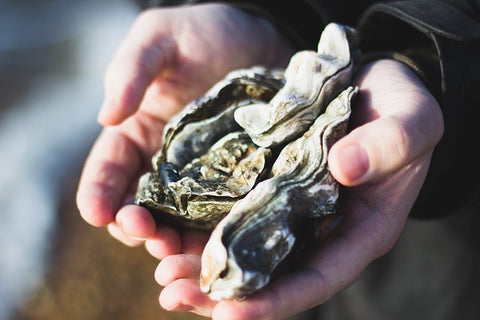Oysters in Hand