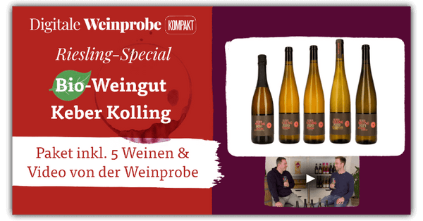 Riesling-Weinprobe