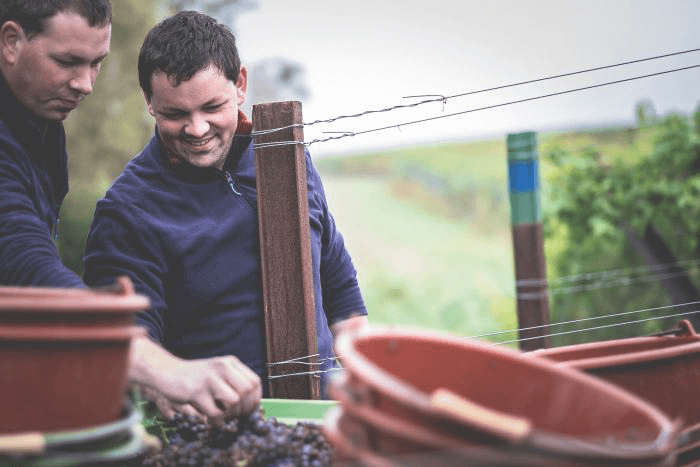 Weingut Josef Wörner