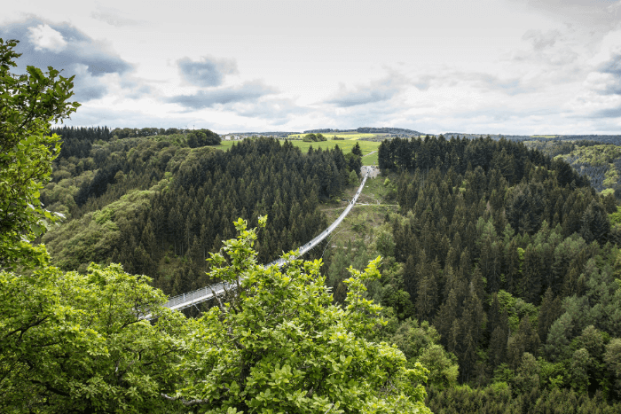Hunsrück-Brücke Nationalpark Hunsrück-Hochwald