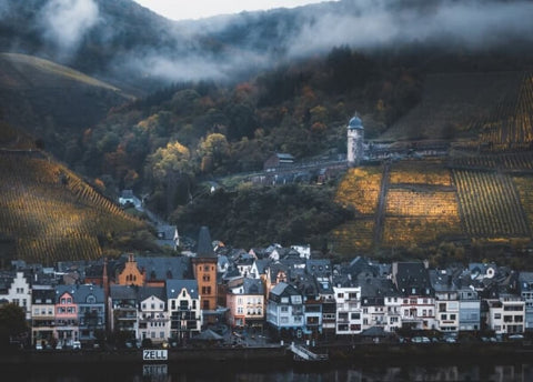 Mosel_Stadt im Nebel