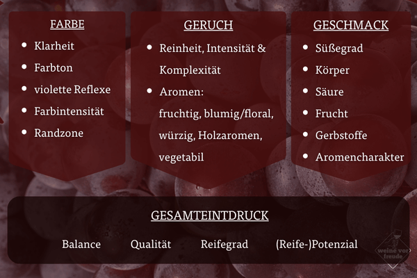 Weinsensorik bei Rotweinen - Uebersicht