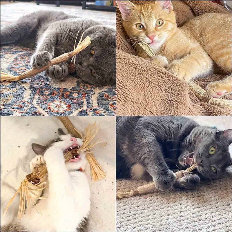 All Natural Catnip Teething Toy for Cats Pack of 3 pets-park-pk