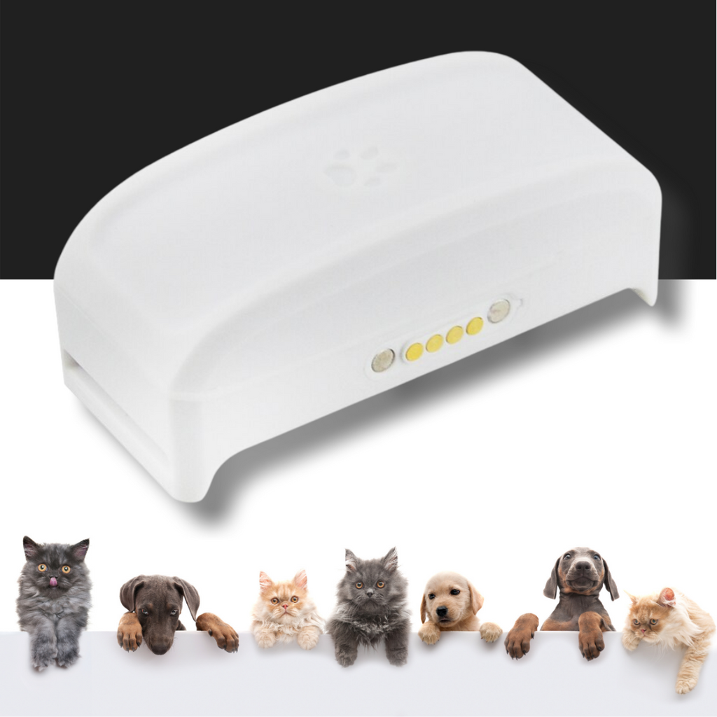 Dog and cat GPS collar - Detachable and adjustable GPS on the collar - Ozerty