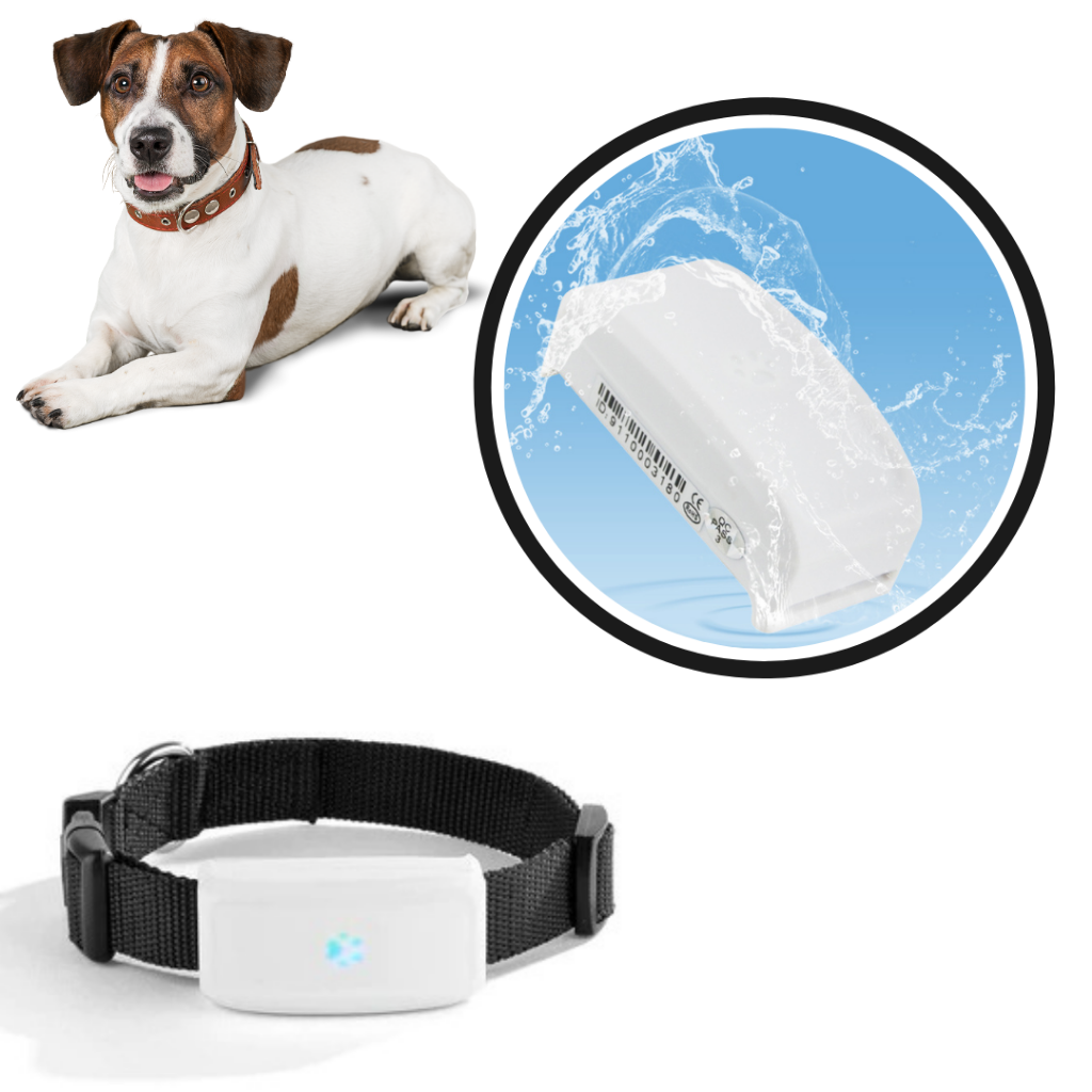 Dog and cat GPS collar - Durable and waterproof GPS - Ozerty
