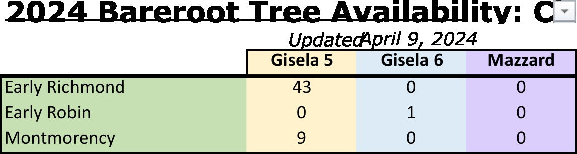 2024 Bareroot Cherry Availability 