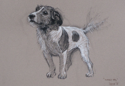 Charcoal and chalk drawing of a Jack Russell Terrier