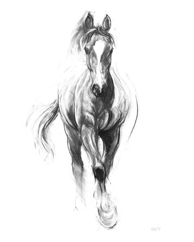Charcoal loose sketch of a horse coming towards you