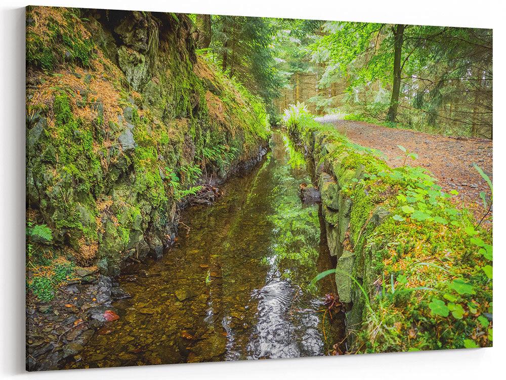 Harz, Bach im Wald - Leinwand Howling Nature