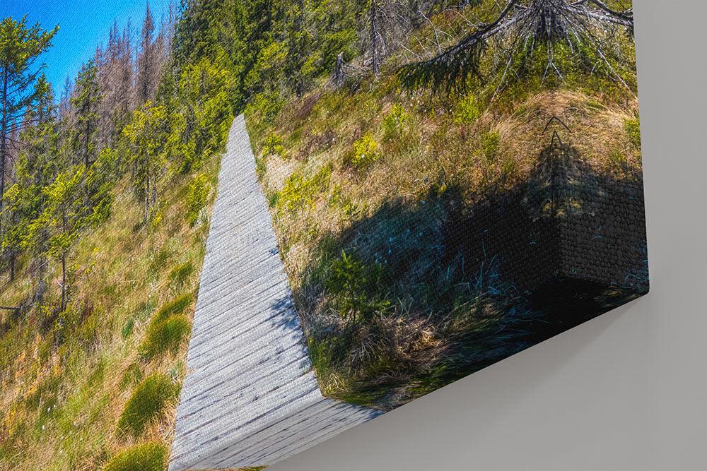 Harz, Weg durch den Sumpf - Leinwand Howling Nature