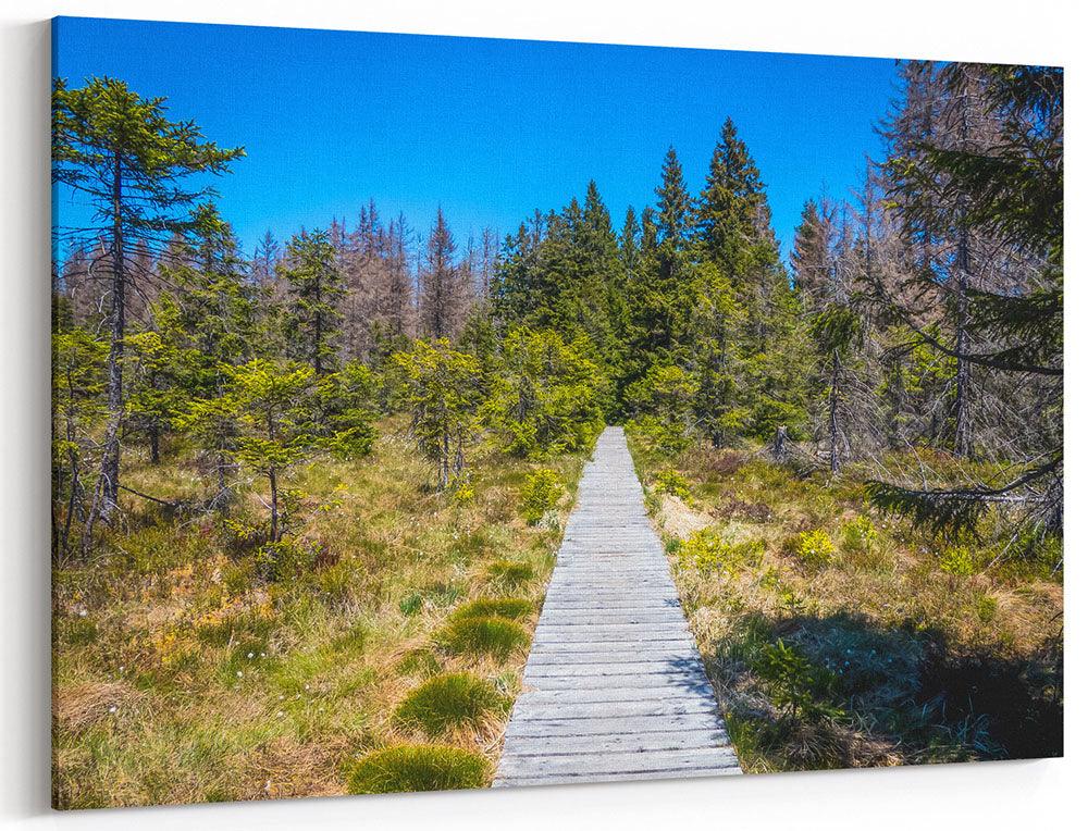 Harz, Weg durch den Sumpf - Leinwand Howling Nature