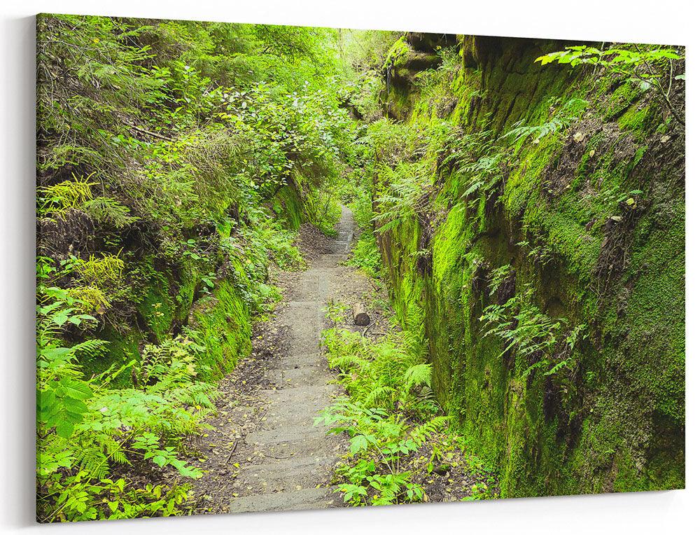 Sächsische Schweiz, der grüne Pfad - Leinwand - Howling Nature