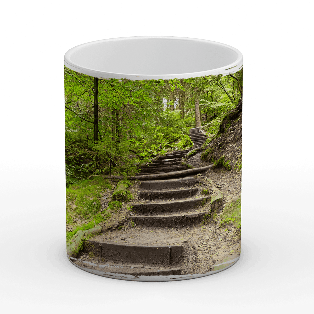 Sächsische Schweiz, Stufen ins Grüne - Tasse, weiß - Howling Nature