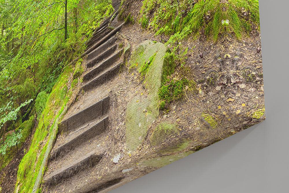 Sächsische Schweiz, Treppe ins Grüne - Leinwand - Howling Nature