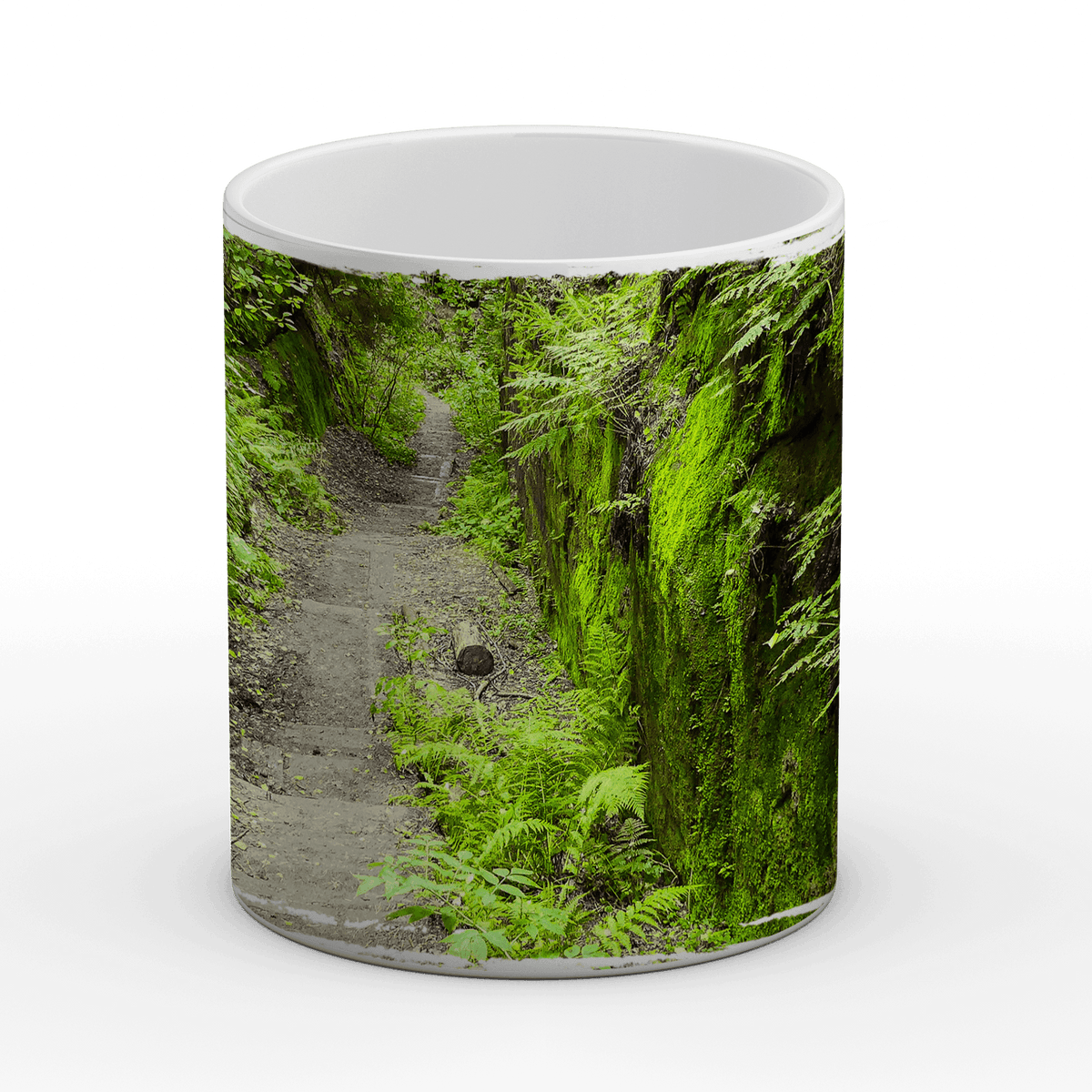 Sächsische Schweiz, Weg hinab ins Grüne - Tasse, weiß - Howling Nature