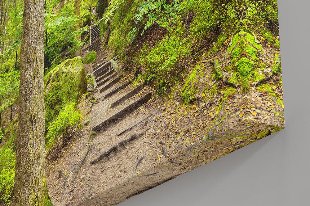 Sächsische Schweiz, Weg ins Grüne - Leinwand - Howling Nature