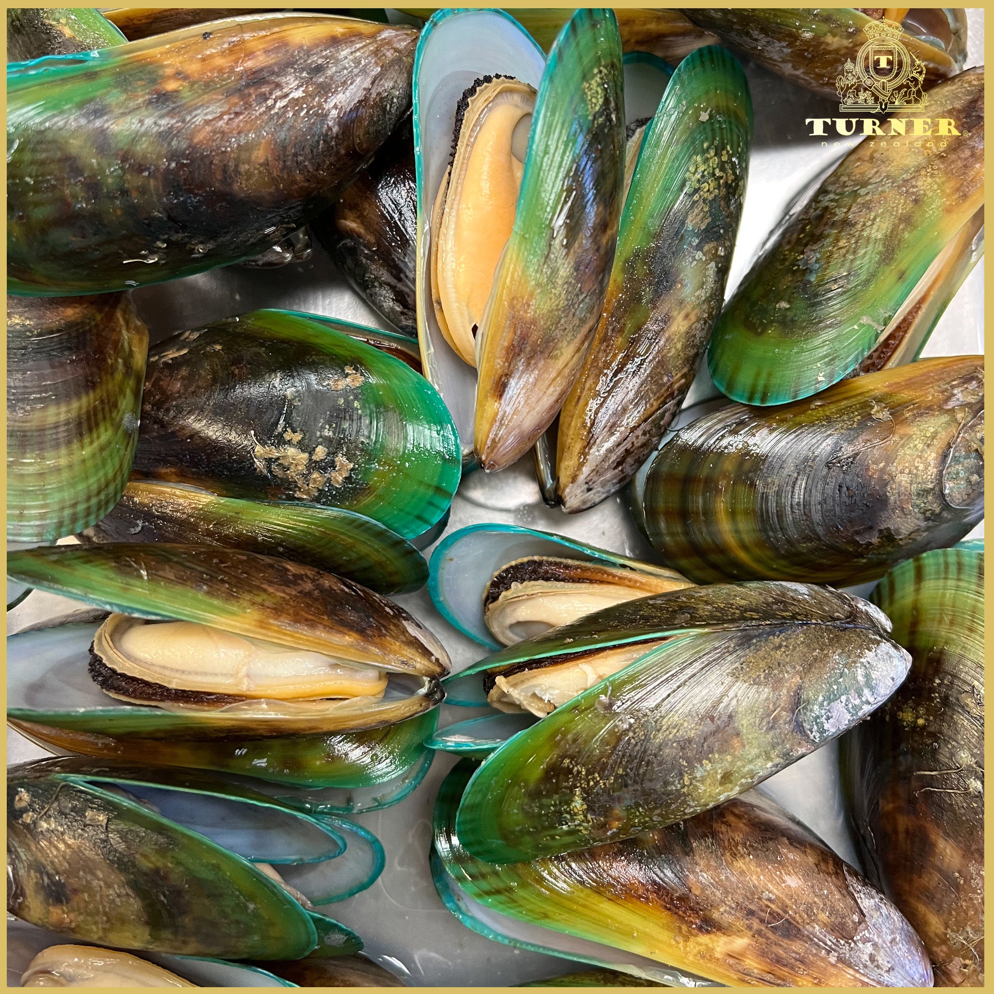 Benefits of Green-Lipped Mussels