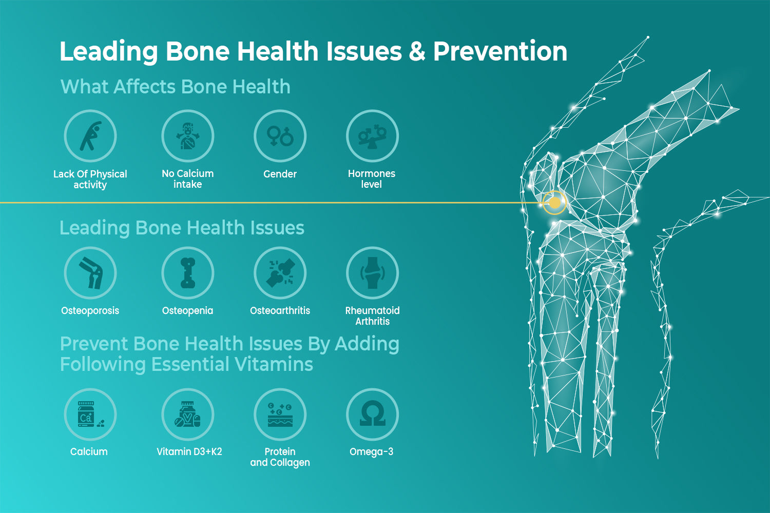 Leading Bone Health Issues and Prevention infographics