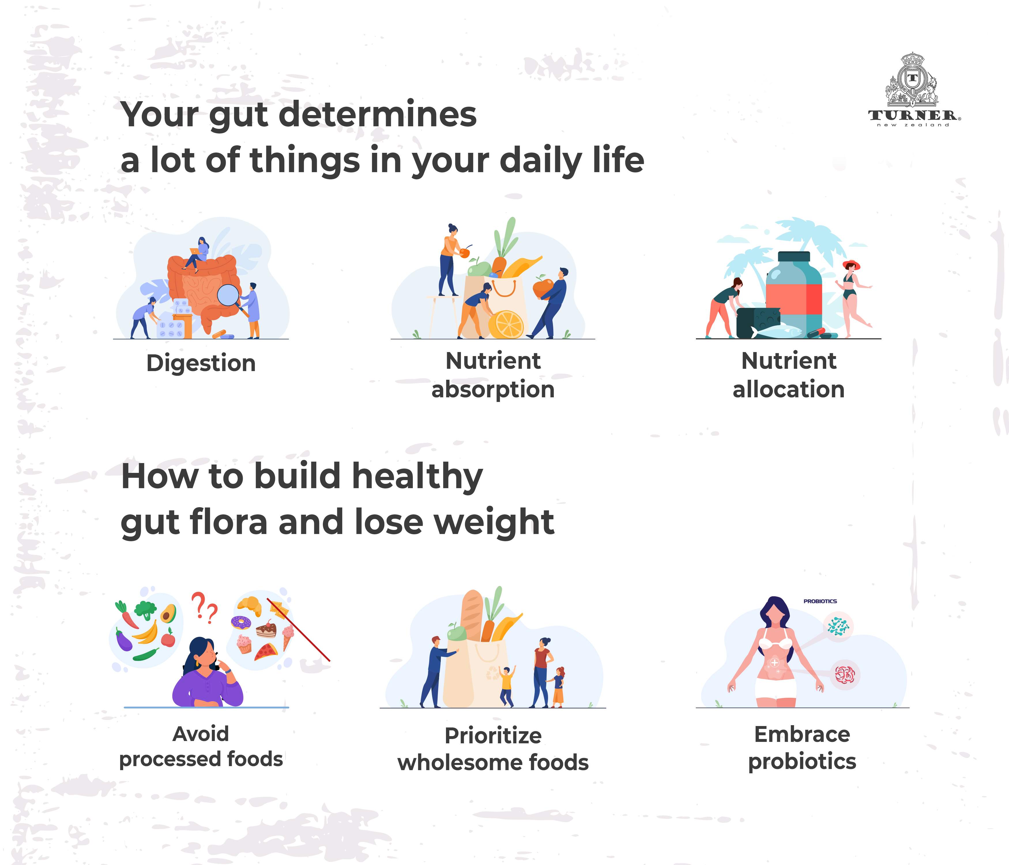 Gut Health Infographics