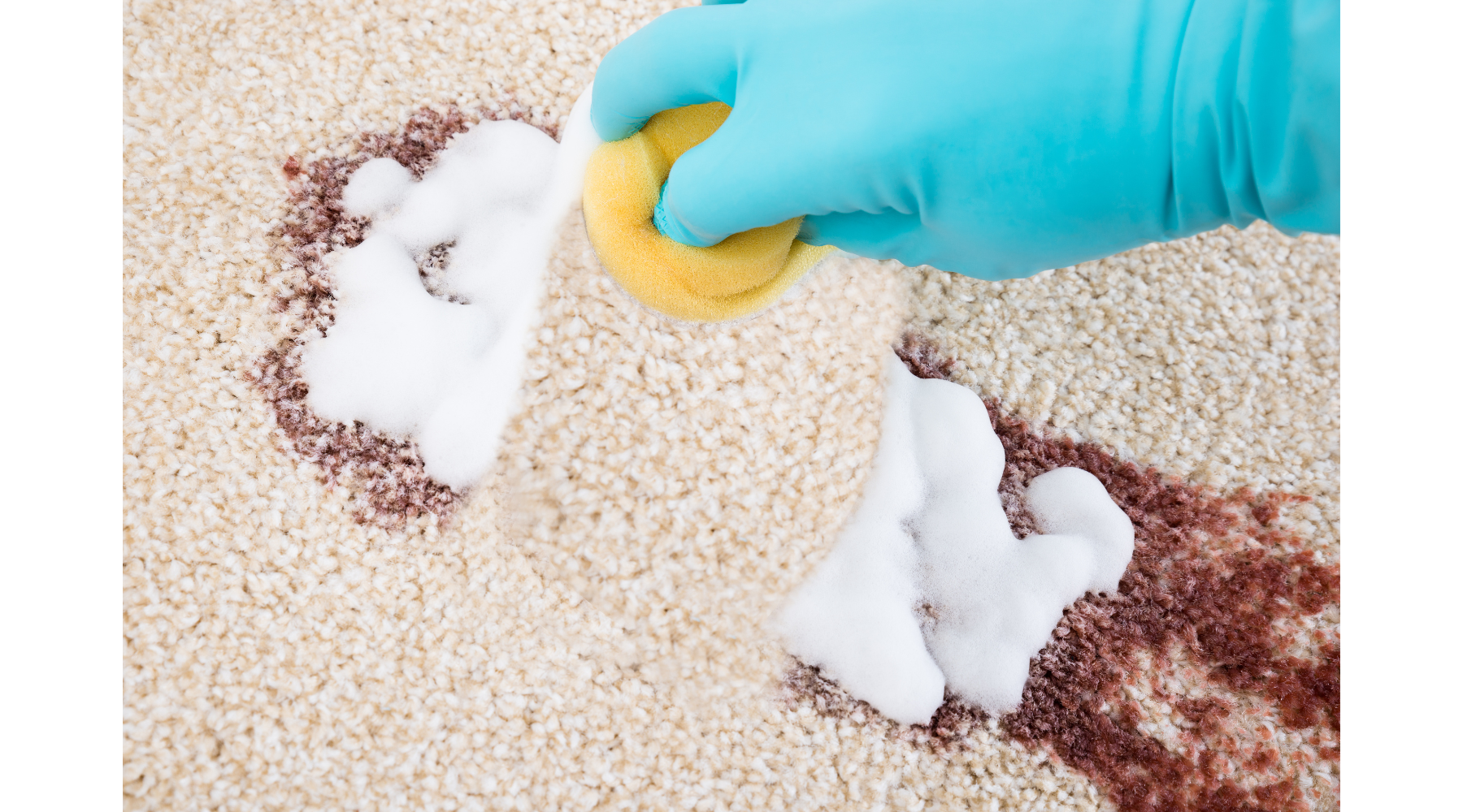 effective home carpet cleaning solution