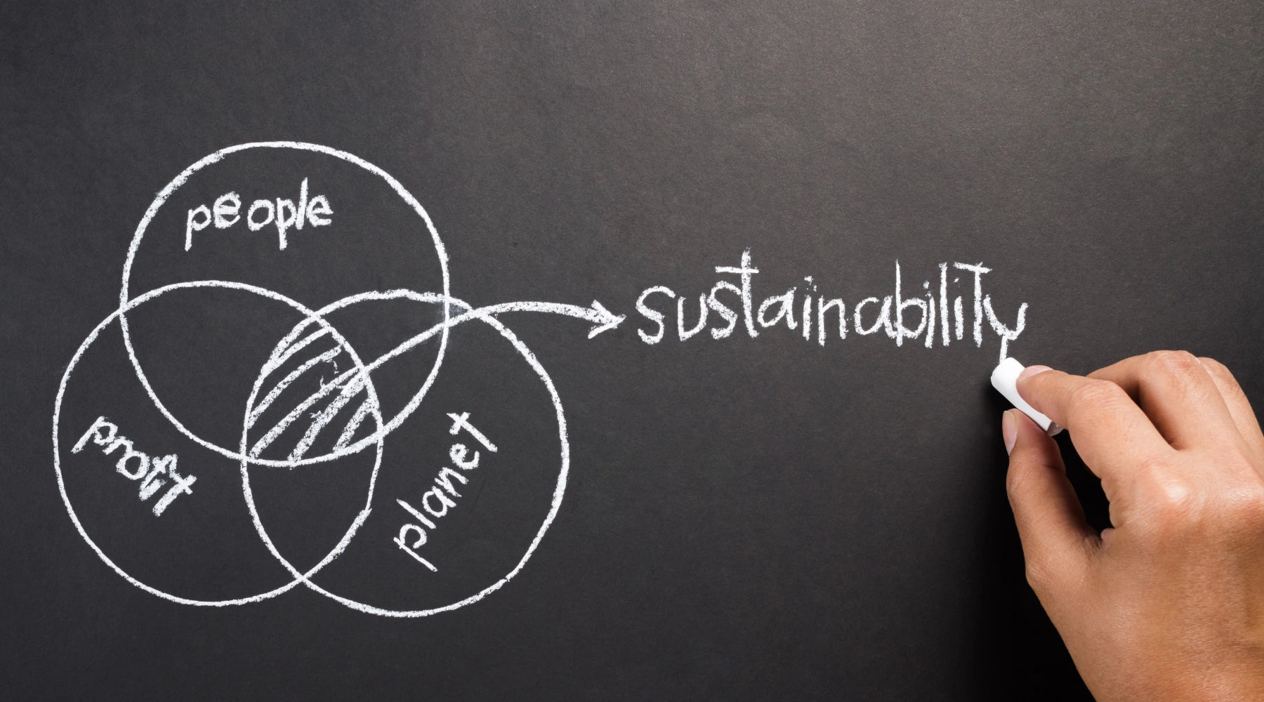 sustainability principles