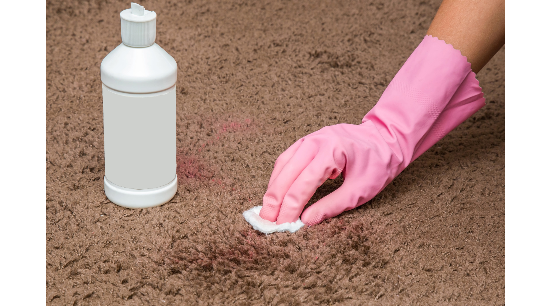 woman applying homemade carpet cleaning solution on a rug and Let the solution sit for a few minutes to allow it to work its way into the carpet fibers