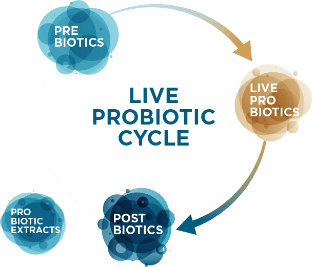 LaFlore Live Probiotic Cycle
