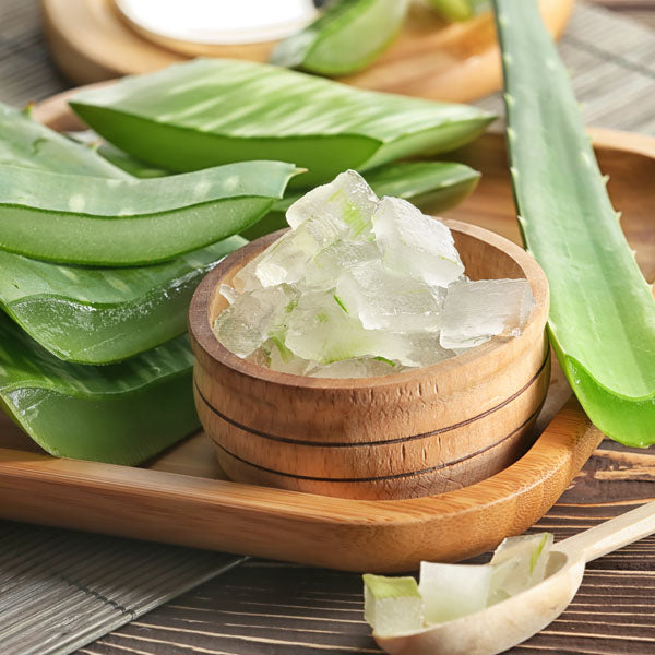 best probiotic skincare | aloe based skin care