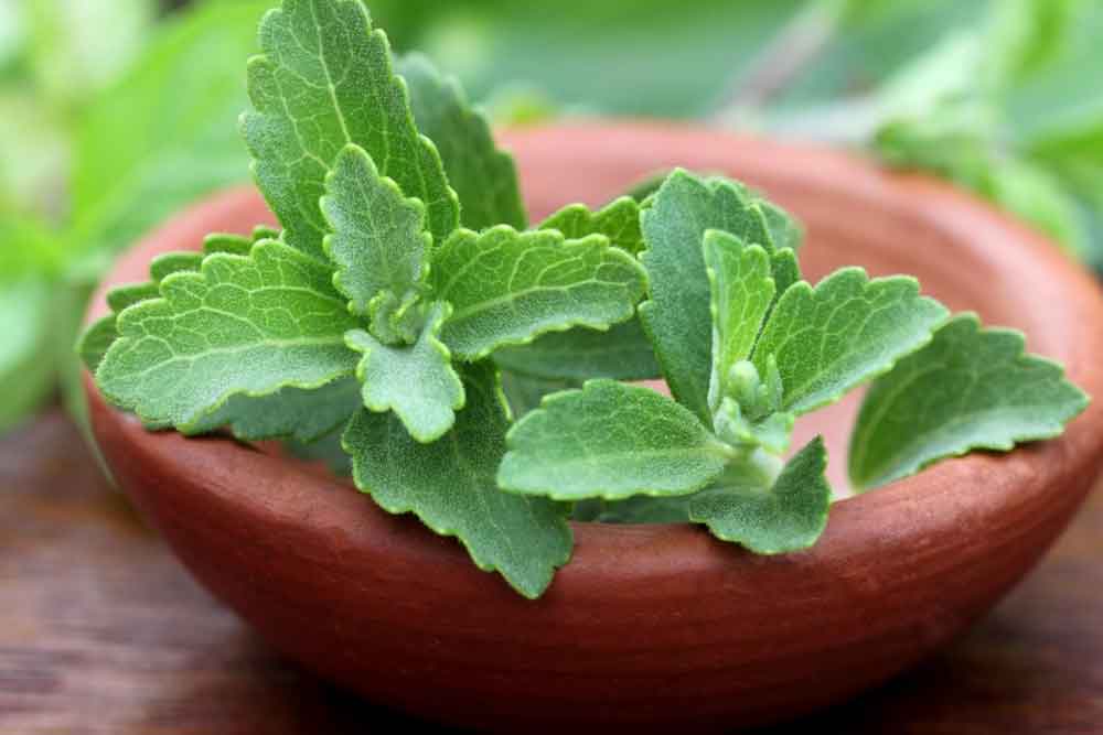 Stevia on a keto diet