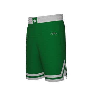 Nike t-shirt Basketball Boston Celtics mesh shorts in black and green