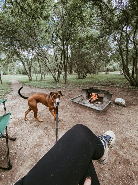 person sitting with dog by campfire in Galveston Island State Park